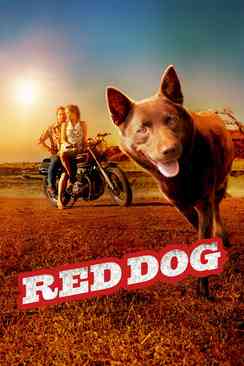 Red Dog