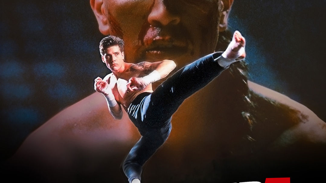 Kickboxer 4: The Aggressor | ViX