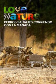 Perros salvajes: Corriendo con la manada