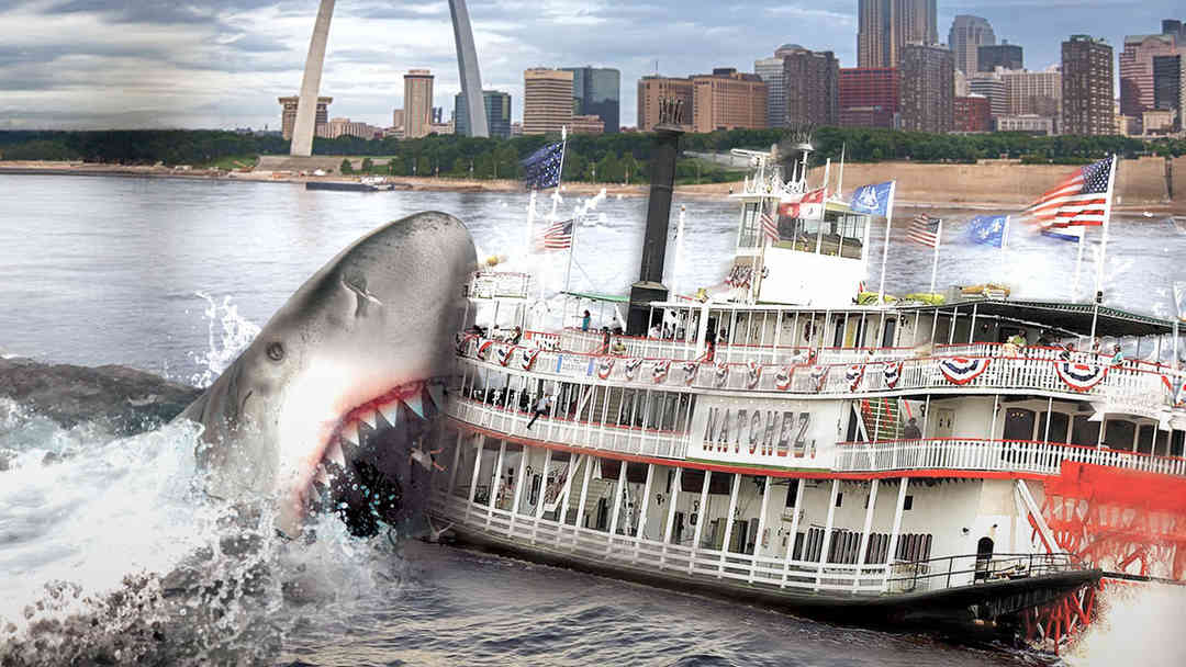 Mississippi River Sharks | ViX