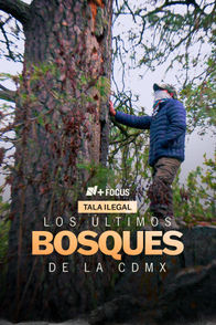 Los Últimos Bosques de la CDMX