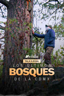 Los últimos bosques de la CDMX