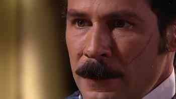 Refugiados en el bosque