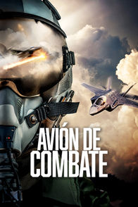 Avión de combate