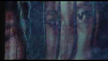 El silencio de Elvira