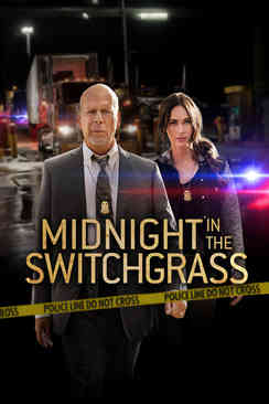 Midnight in the Switchgrass