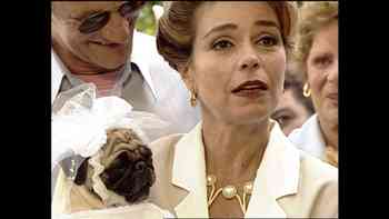 Una boda y un embarazo