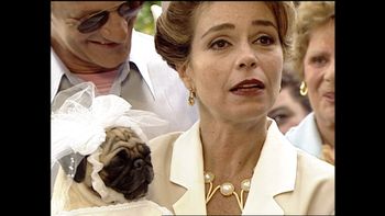 Una boda y un embarazo