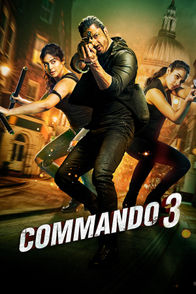 Commando 3