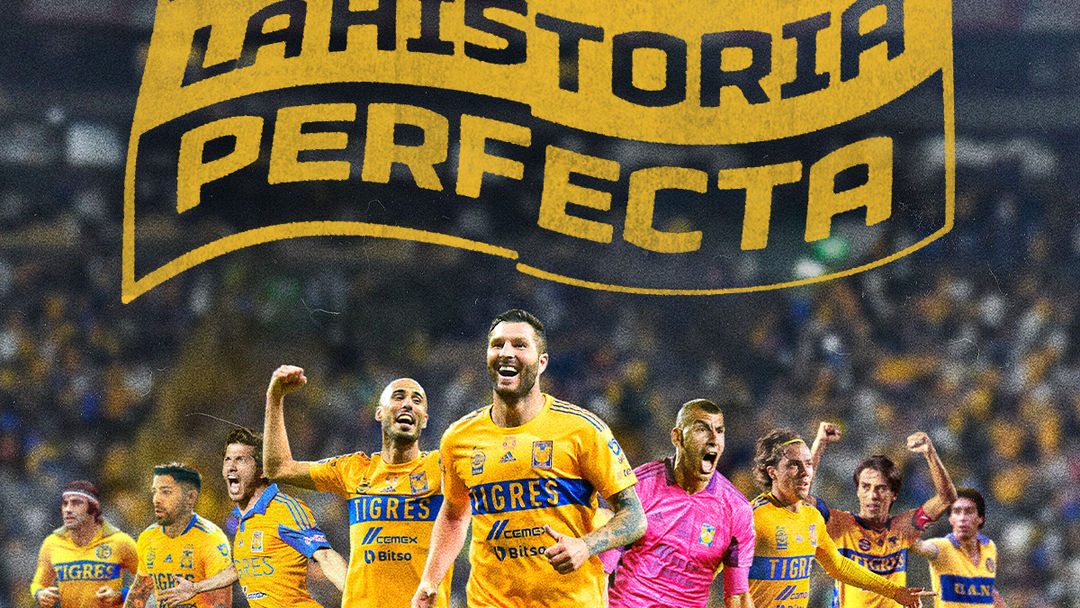 Tigres: La historia perfecta | ViX