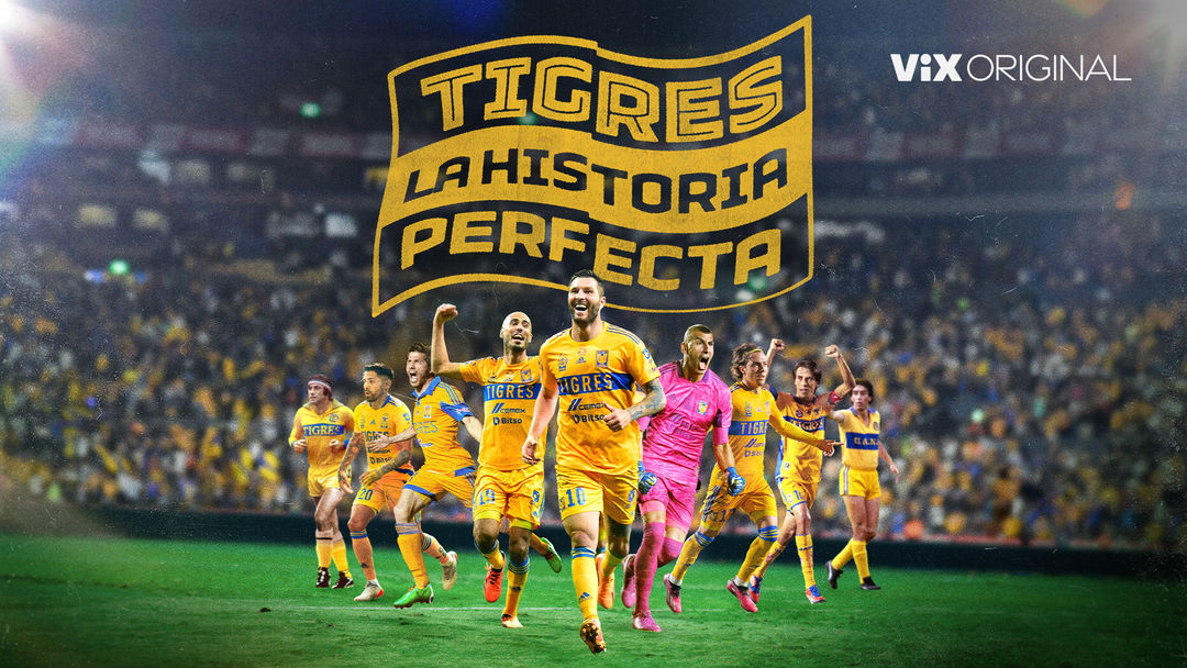 Tigres: La historia perfecta | ViX