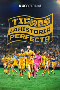 Tigres: La historia perfecta | ViX