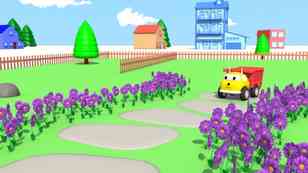 Flores y colores