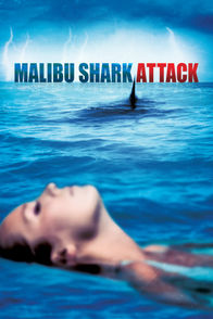 Malibu Shark Attack