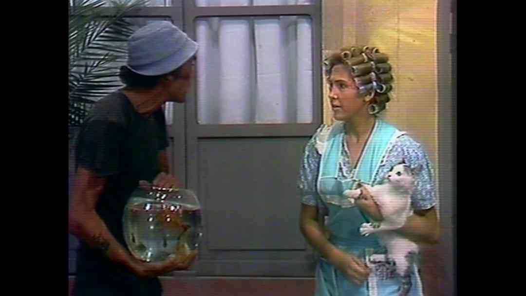 El gato y los peces | ViX