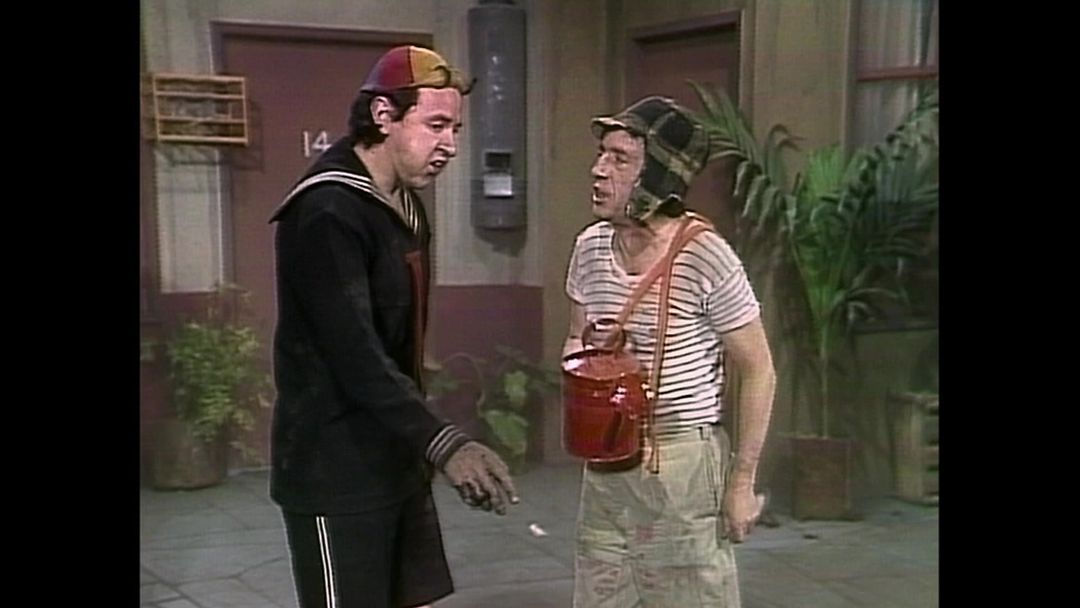 Dinero en maceta | ViX