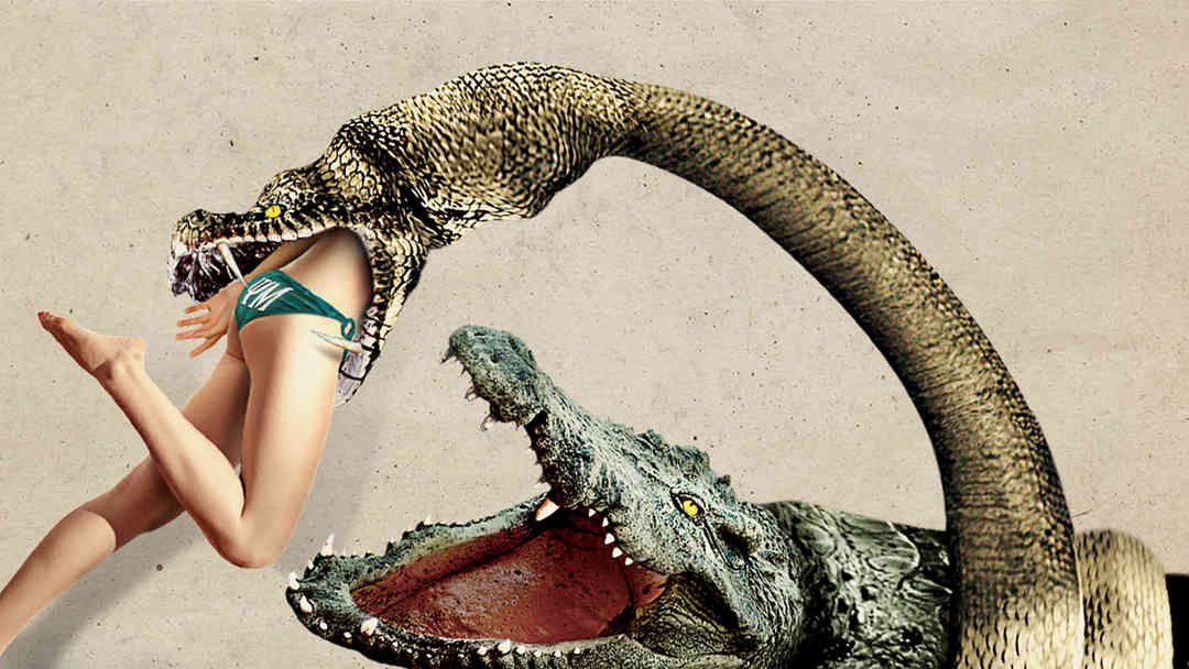 Lake Placid vs Anaconda | ViX