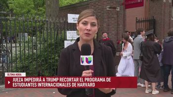 Noticias Univision 24-7: 29 de mayo, 2025
