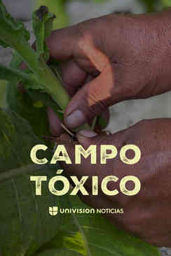 Campo tóxico: Campesinos en riesgo