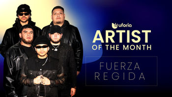 Fuerza Regida
