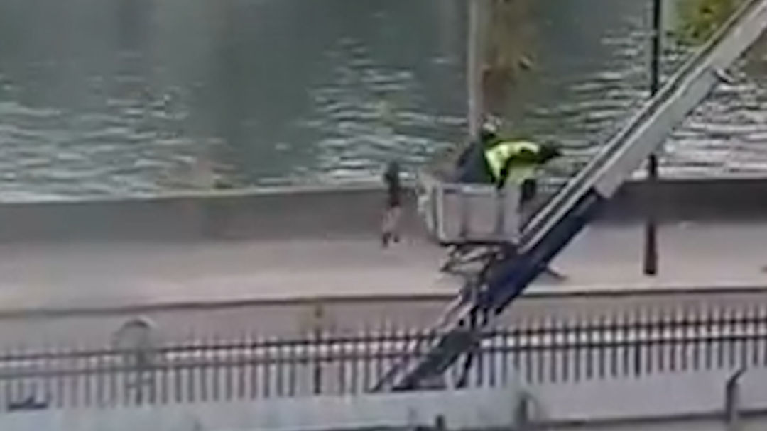 En video: el momento en que los supuestos ladrones de joyas escapan del museo del Louvre | ViX