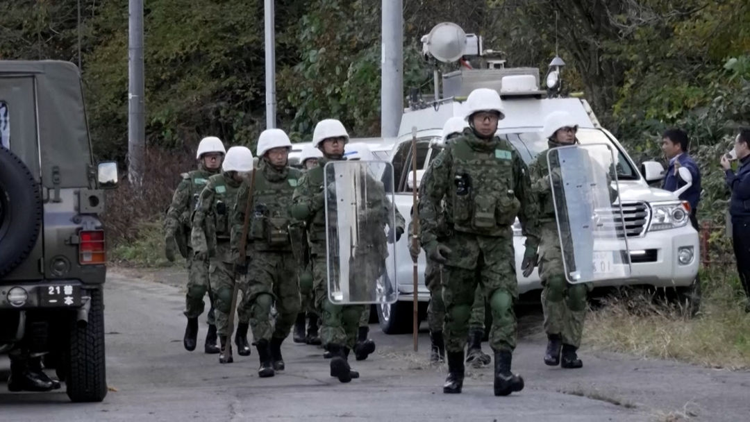 Japón despliega a su Ejército… para combatir los ataques de osos | ViX