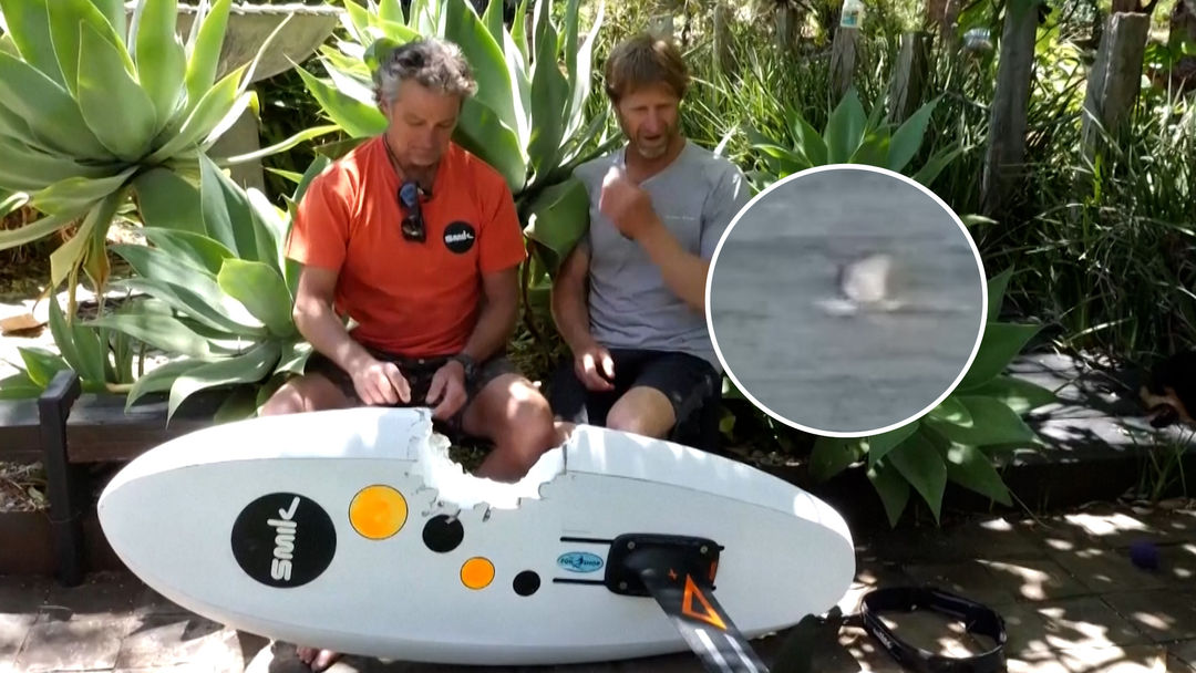 El momento en que un tiburón ataca a un windsurfista y destroza su tabla: “Pensé que sería el fin” | ViX