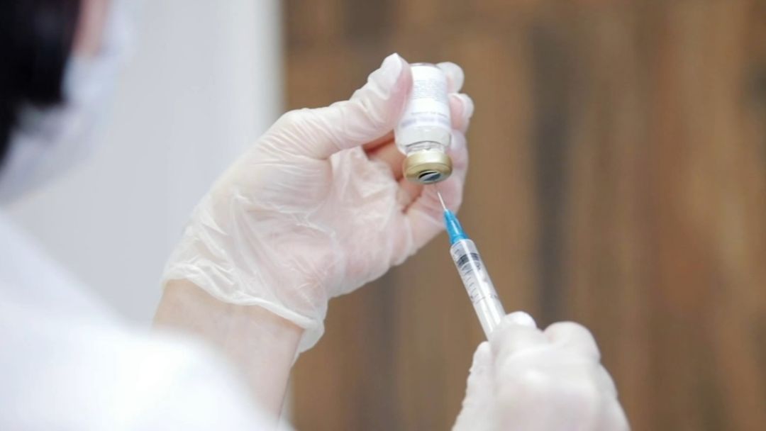 Vacuna contra la hepatitis B para recién nacidos: experta analiza riesgos de retrasar su aplicación | ViX