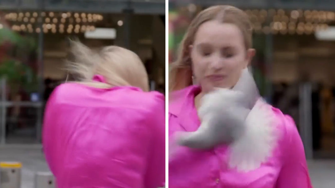 El momento en que una reportera es golpeada en la cara por un ave mientras grababa una nota | ViX