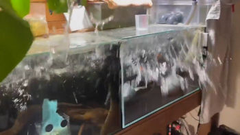 Así sacudió un terremoto de 7.6 la costa noreste de Japón