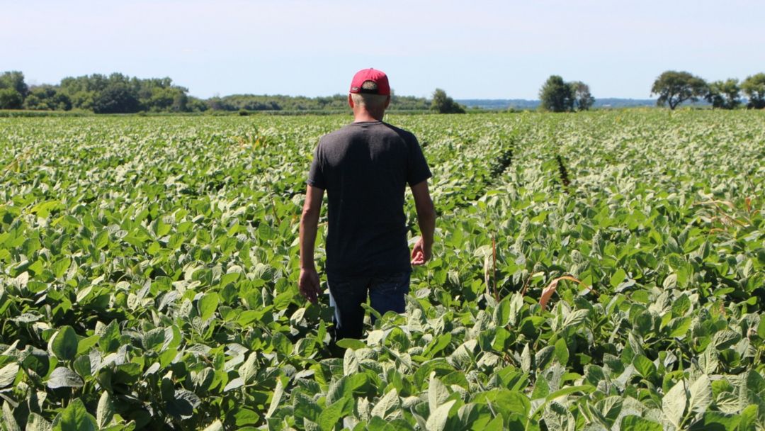 Trump anuncia un paquete de ayuda de $12,000 millones para agricultores afectados por los aranceles | ViX