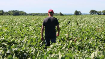 Trump anuncia un paquete de ayuda de $12,000 millones para agricultores afectados por los aranceles