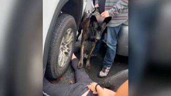 Inmigrante es atacado por perro de una agencia federal mientras era detenido frente a su familia