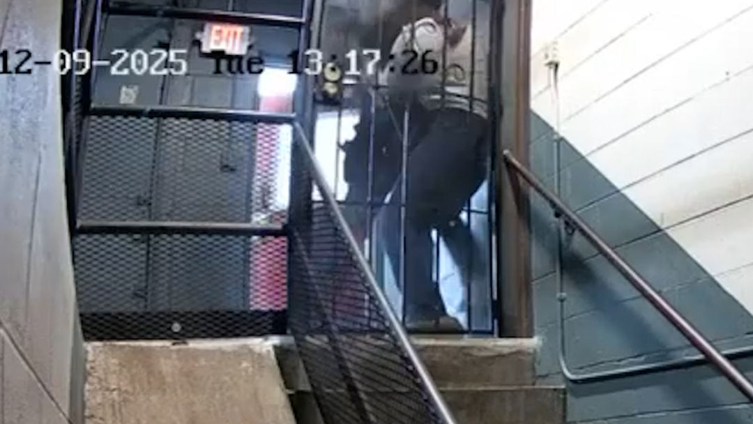 Agente de ICE empuja a un ciudadano estadounidense para detenerlo por tener “aspecto de somalí” | ViX