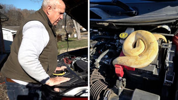 Notó un olor raro en su auto: resultó ser una pitón dentro del capó