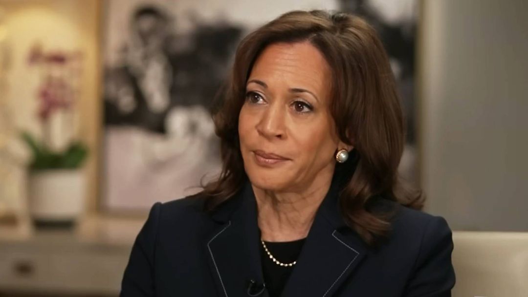 Entrevista exclusiva a Kamala Harris: "Trump ha creado un miedo profundo en las comunidades" | ViX