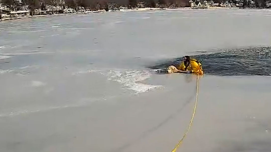 En video: Un policía rescata a un perro de un lago congelado en Nueva Jersey | ViX