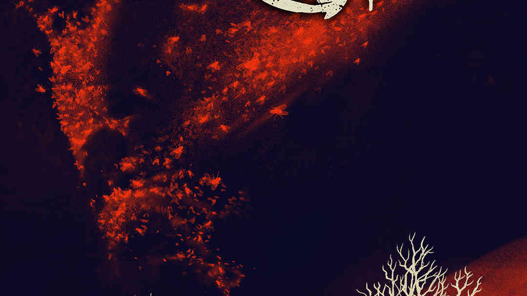 The Amityville Horror | ViX