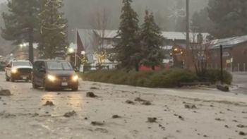 Poderosa tormenta deja al menos cuatro muertos en California: uno murió por la caída de un árbol