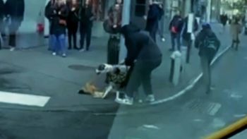 Un bebé es atacado por un perro pitbull en plena calle: todo quedó captado en video