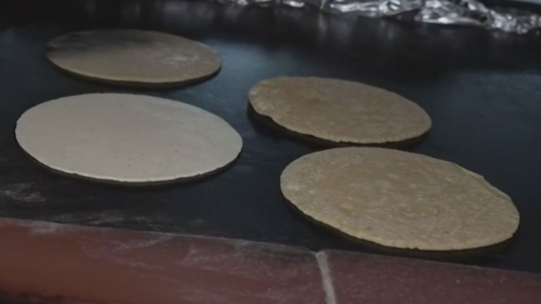 ¿Por qué las tortillas en California deberán incluir ácido fólico a partir de 2026? Te explicamos | ViX