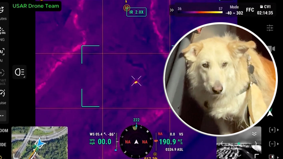 Drones con cámaras térmicas ayudan a rescatar un perro tras su desaparición | ViX