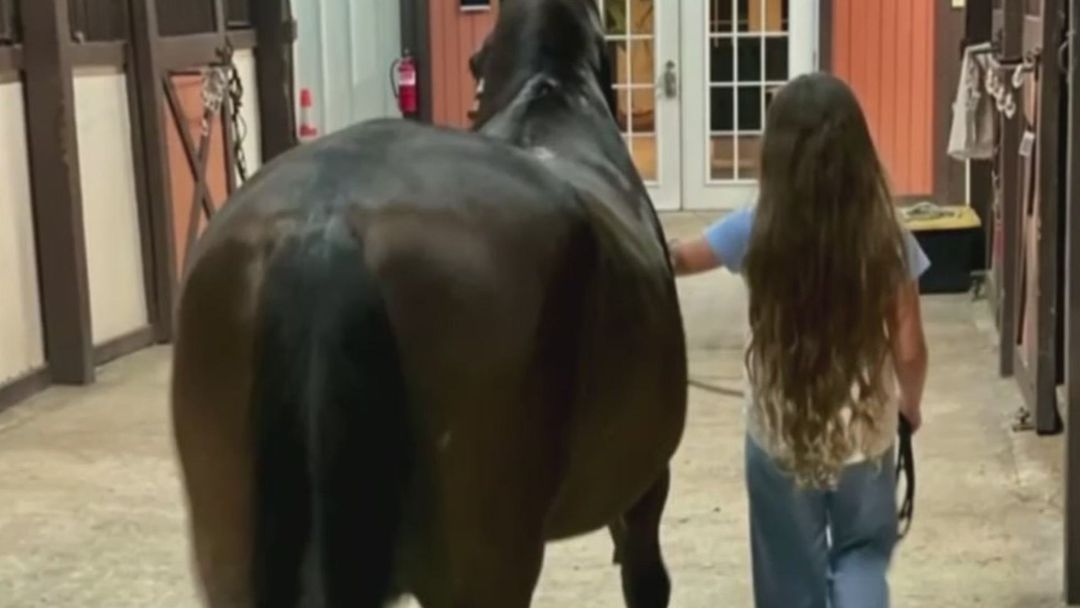 Equinoterapia, una herramienta para el desarrollo de niños con condiciones especiales | ViX