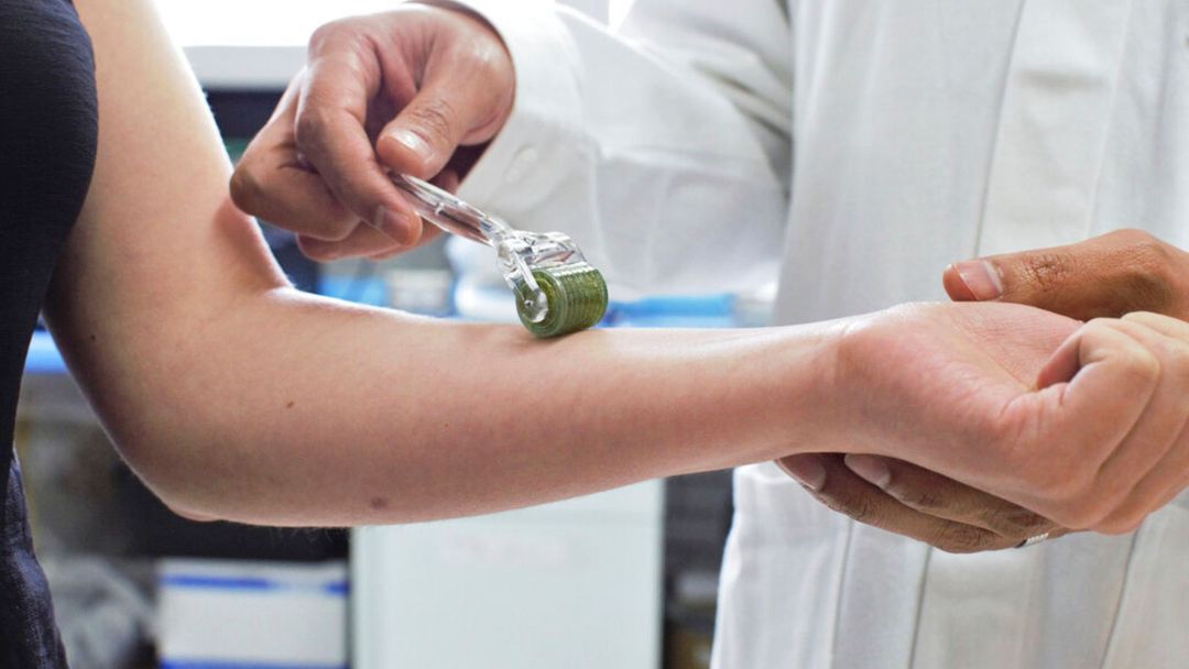 Alimentación saludable: punto clave para aliviar dolores de la artritis | ViX