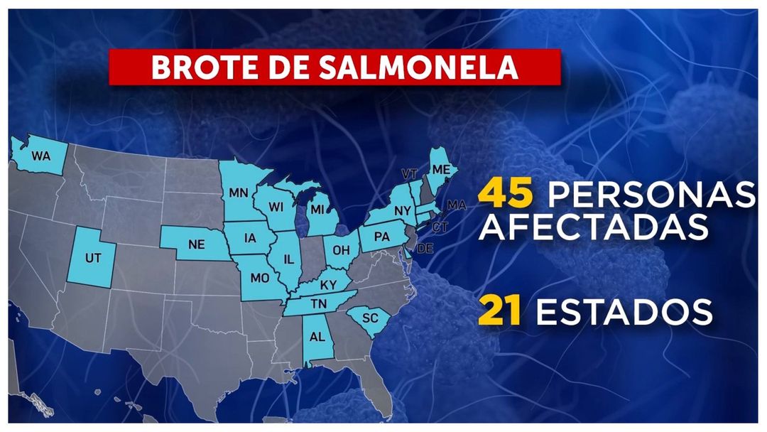 Brote de salmonela vinculado a un sumplemento alimenticio pone en alerta a 21 estados | ViX