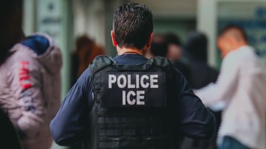 ¿Qué tipo de identificaciones sirven para comprobar la ciudadanía? | ViX