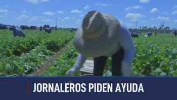 A Esta Hora: 3 de febrero, 2026