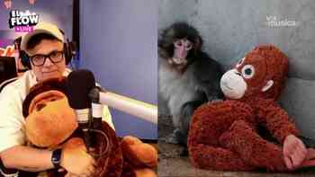 El flow de la radio: 27 de febrero, 2026