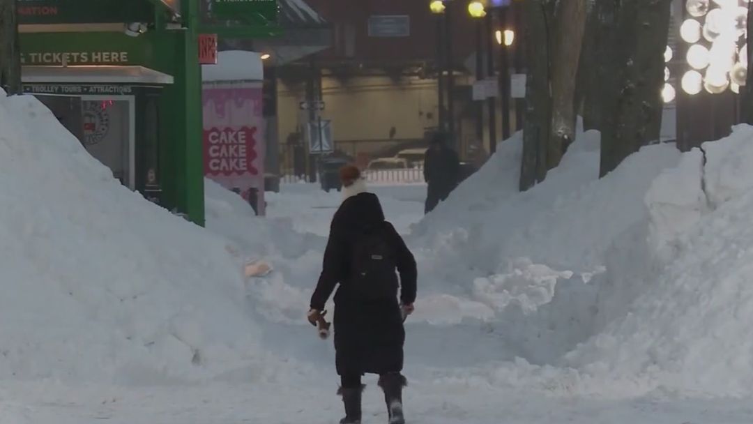 Advierten sobre peligros del frío y medidas de seguridad para proteger la salud | ViX