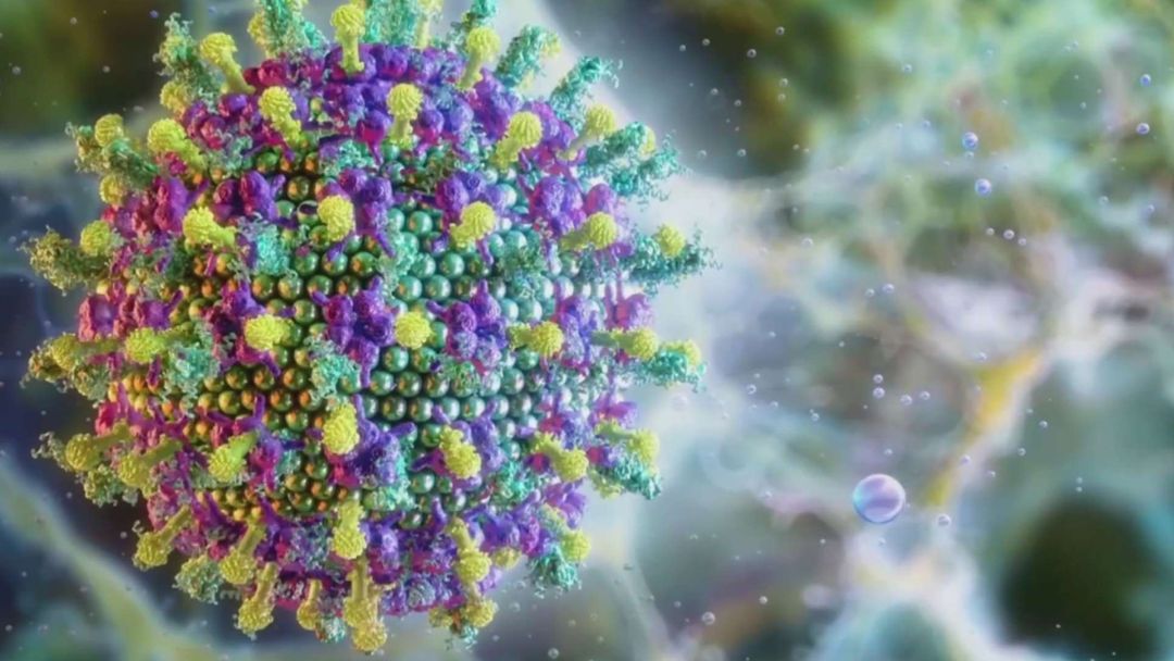 Alerta en Asia: Implementan controles fronterizos ante brote del virus Nipah con alta mortalidad | ViX